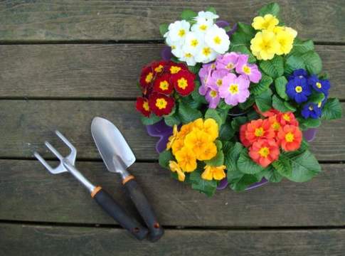 Nuove professioni in ambito agricolo