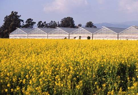 Una fotografia del settore biogas
