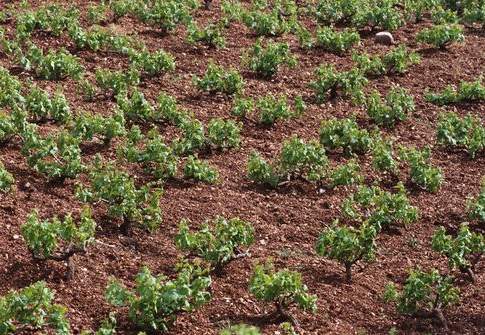 Un passo in più verso la sostenibilità