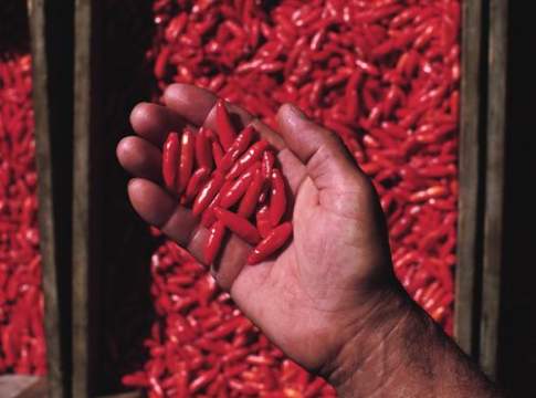 Nuove idee per nuovi mestieri