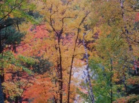 Prorogato il termine di pagamento dell’Imu per i terreni “montani”