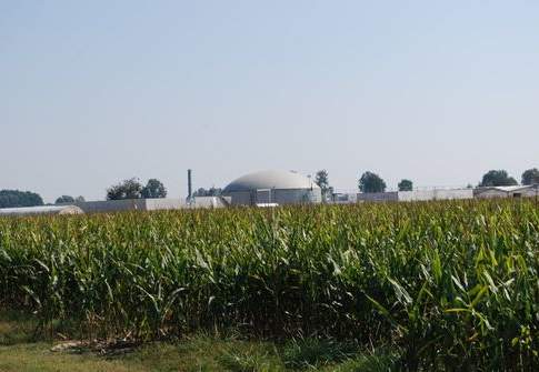 Buone notizie per il nuovo anno