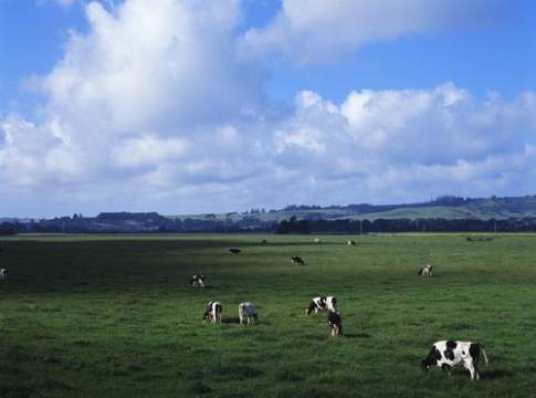 Alcuni aggiornamenti statistici