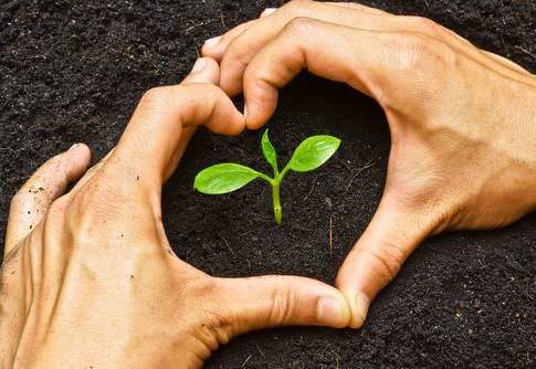 Al via 2 tipologie di credito d’imposta