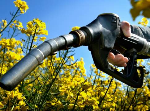 Biodiesel: crescita o stasi?