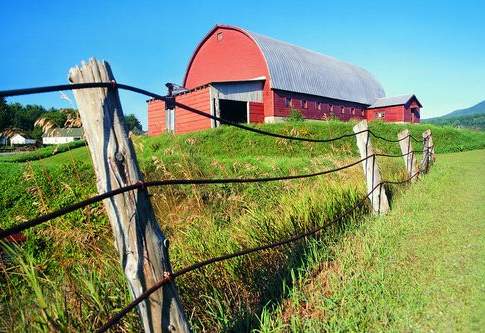 Imu agricola: le risposte del ministero delle Finanze