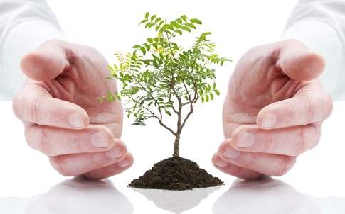 Coltiva l’idea giusta!