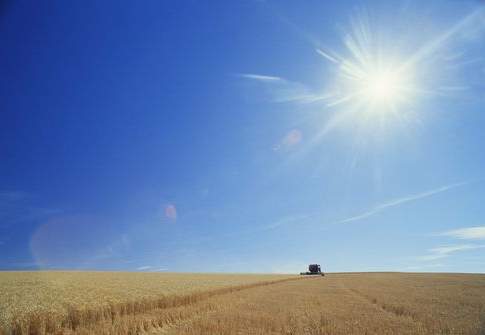 I dati di un settore che cresce