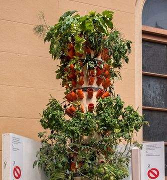 L’orto? Si coltiva sul balcone…