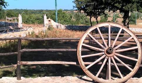 Una fotografia (economica) delle aziende agricole