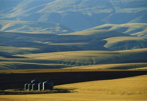 Agricoltura italiana, i numeri dell’Istat