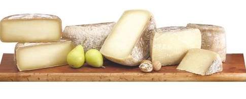 Export da record per i formaggi