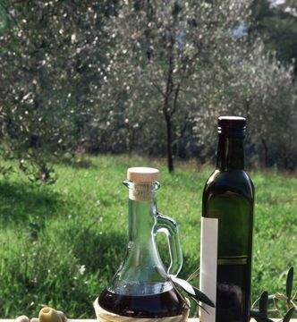 Friuli, terra di ulivi…