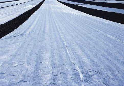 La “plastica” green per la pacciamatura