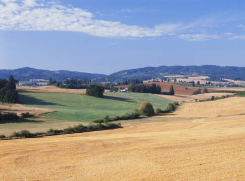 Al via credito d’imposta per le reti d’impresa