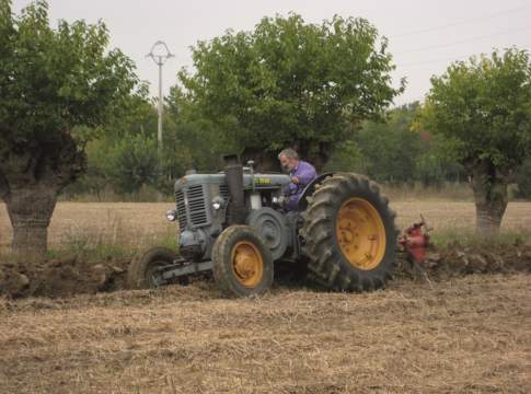 Testa calda sì, ma solo se Landini