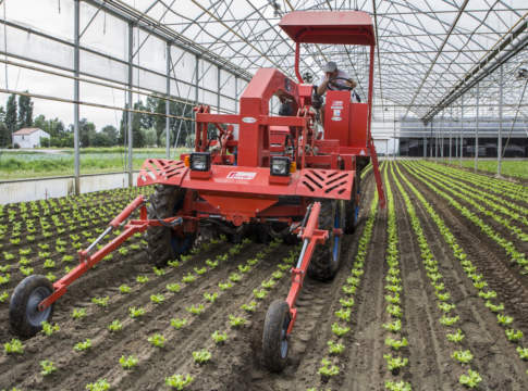 Sarchiatura? Si, ma evoluta!