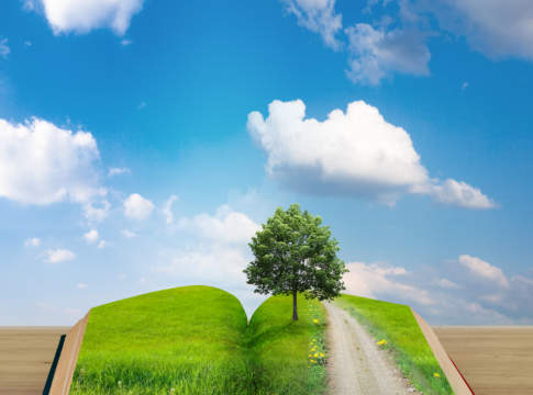 Al via il sistema di consulenza aziendale