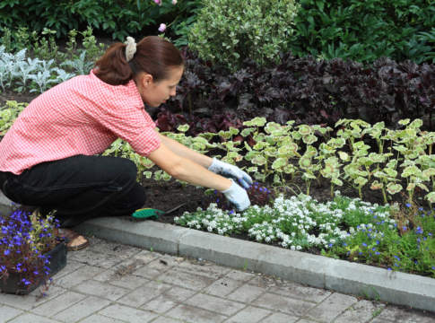 Il ruolo multidimensionale delle donne in agricoltura