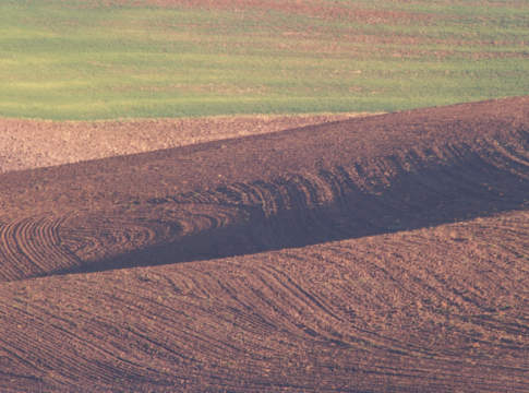 Il dilemma del glifosato