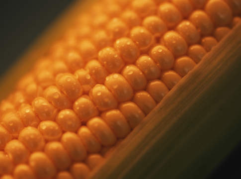 Un mix di tecnologie per l’irrigazione