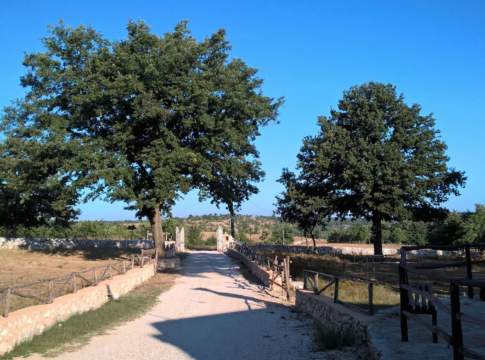 AAA: Terra cerca Agricoltore