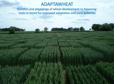 Alcune novità dalla ricerca europea…