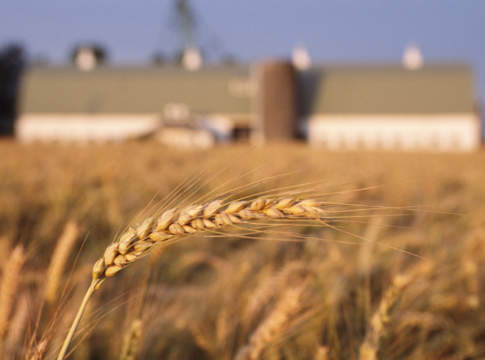 Un primato europeo da difendere