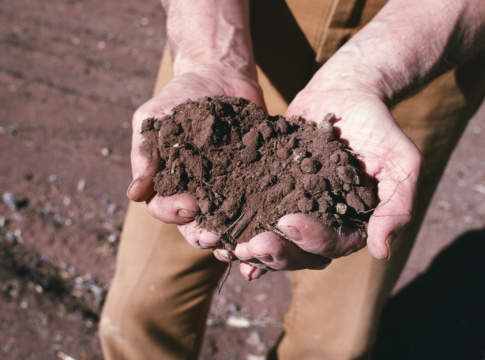 Riforma voucher, i dubbi del mondo agricolo