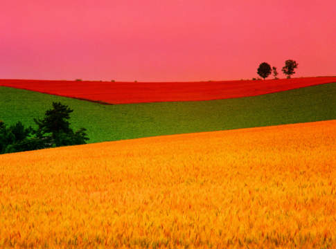 Al via la Banca delle Terre Agricole