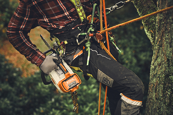 Motosega MSA 190 T di Stihl