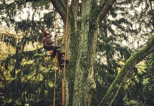 Motoseghe Stihl