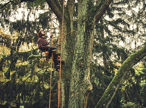 Motoseghe Stihl