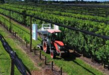UV Boosting agricoltura sostenibile