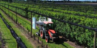 UV Boosting agricoltura sostenibile