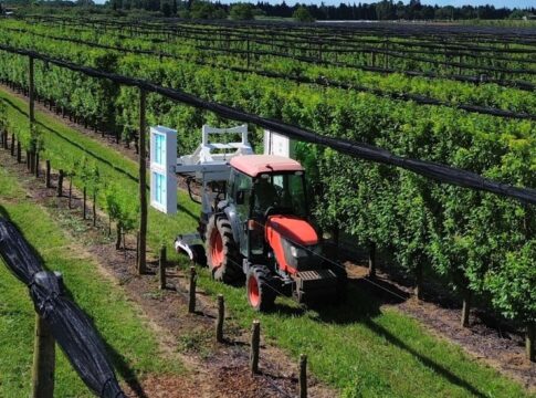 UV Boosting agricoltura sostenibile