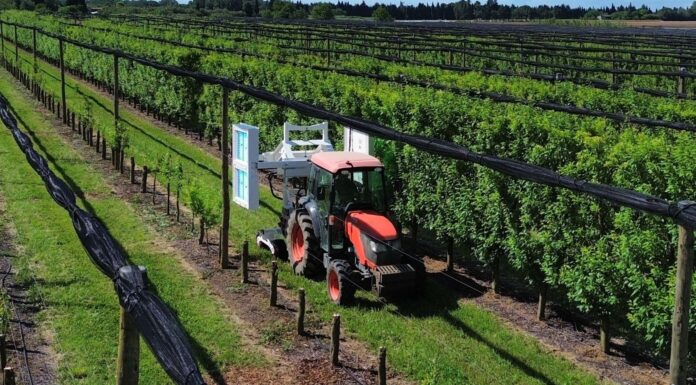 UV Boosting agricoltura sostenibile