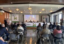 Crisi climatica e geopolitica frenano il mercato