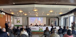 Crisi climatica e geopolitica frenano il mercato