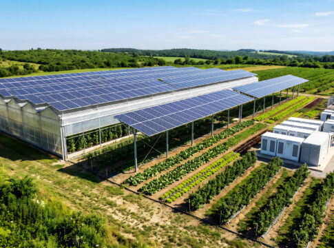 Bit manages Watt: l’energia intelligente scende in campo
