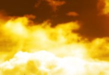 Green economy e industria alimentare