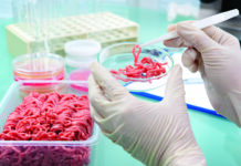 Una nuova tecnologia giapponese permette di svolgere le analisi microbiologiche in meno di un’ora