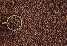 Ottimizzazione della fermentazione del caffè verde con il metodo della superficie di risposta