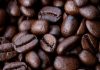 Impatto di emergenti processi di fermentazione sulla qualità del caffè