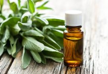 Antiossidanti, influenza sulla qualità e sulla stabilità di diversi tipi di grassi animali