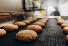 Videocamere per ottimizzare il tempo di essicazione