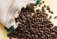 Analisi comparativa di modelli di apprendimento profondo pre-addestrati per la classificazione dei chicchi di caffè