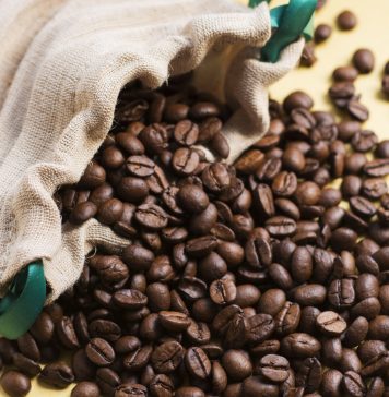 Analisi comparativa di modelli di apprendimento profondo pre-addestrati per la classificazione dei chicchi di caffè