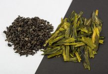 Microalghe, ingrediente innovativo nella formulazione di nuovi alimenti