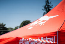 Bobcat Demo Days 2026: una. nuova era per le pale